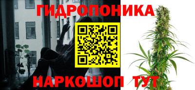mdma Аргун