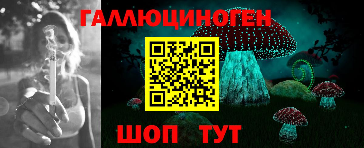 Псилоцибиновые грибы прущие грибы  Вход с VPN  Верхняя Салда 